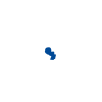 Logos_paraguay-mapa